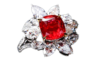 Description of Image 2